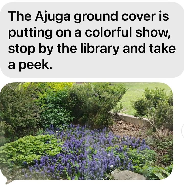 W.A. Rankin Memorial Library - Neodesha, KS 2024