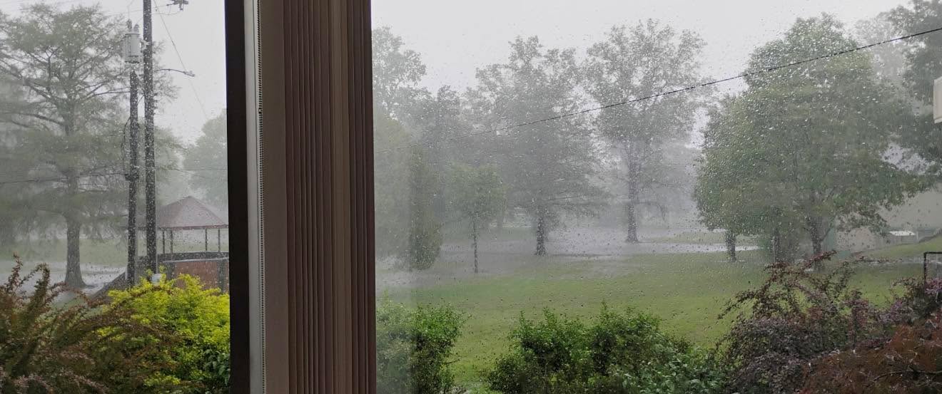 W.A. Rankin Memorial Library - Neodesha, KS 2024