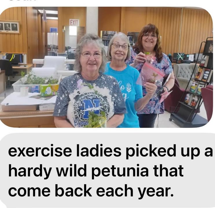W.A. Rankin Memorial Library - Neodesha, KS 2024